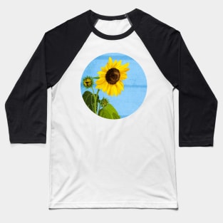 Sunflower Baseball T-Shirt